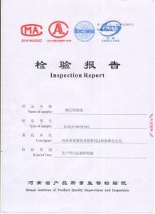 檢驗(yàn)報(bào)告1